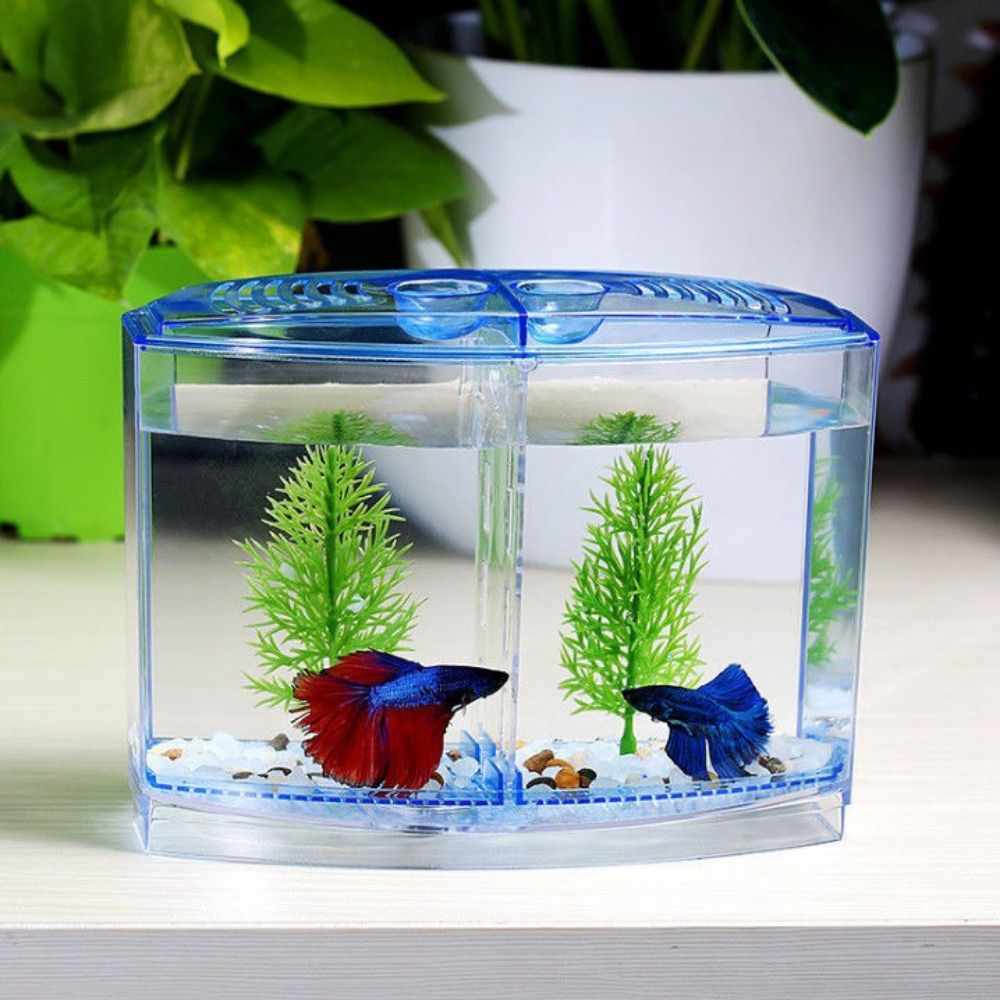 Transparent Betta Fish Tank, D - Aquarium Fish Betta recension och pris