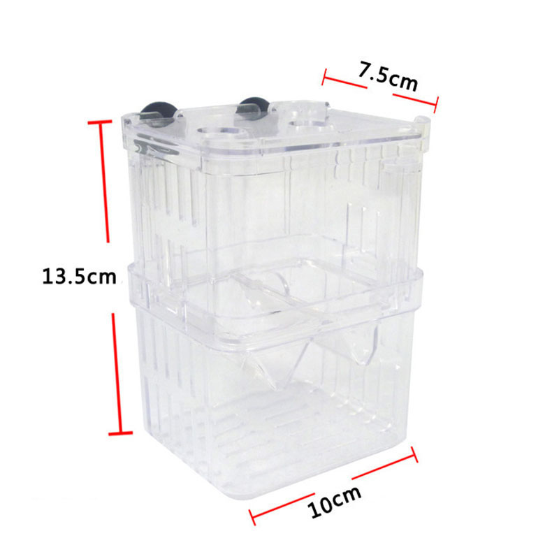 Peacock Fish Breeding Isolatio - Aquarium Fish Betta recension och pris