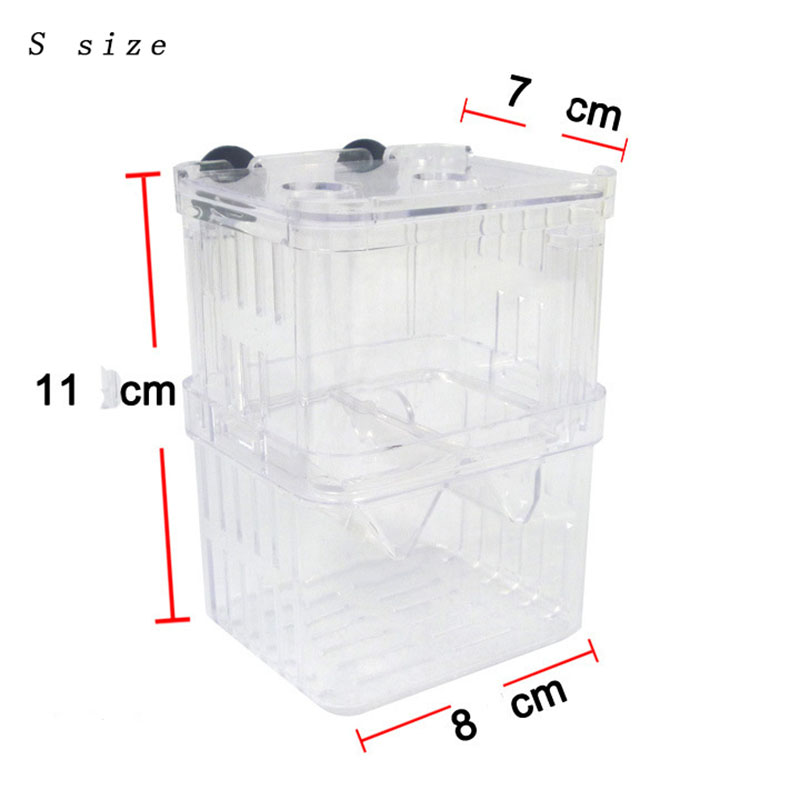 Peacock Fish Breeding Isolatio - Aquarium Fish Betta recension och pris