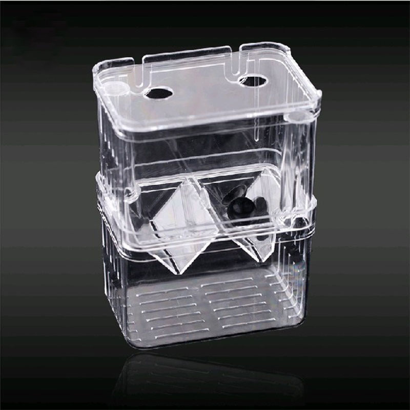 Peacock Fish Breeding Isolatio - Aquarium Fish Betta recension och pris